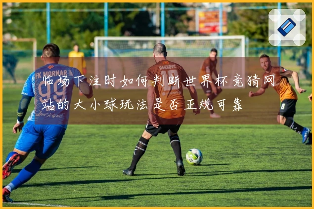 临场下注时如何判断世界杯竞猜网站的大小球玩法是否正规可靠