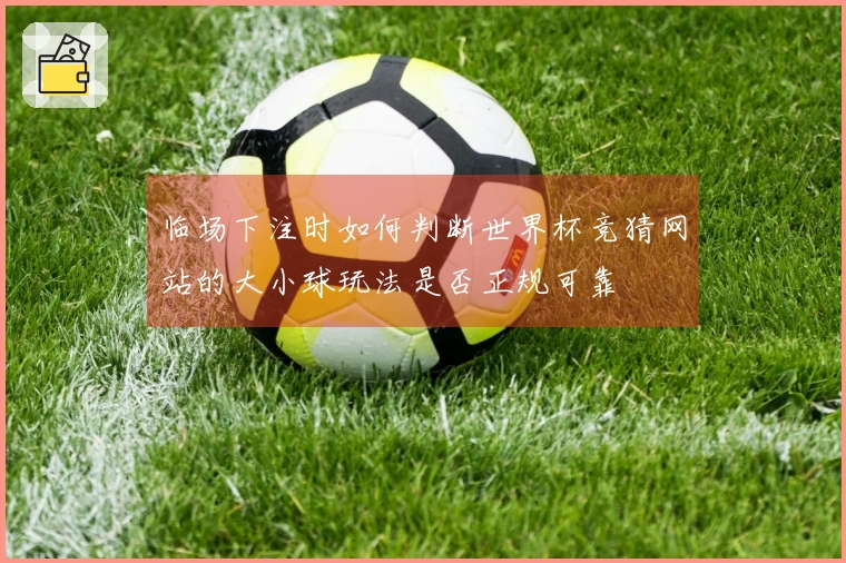 临场下注时如何判断世界杯竞猜网站的大小球玩法是否正规可靠