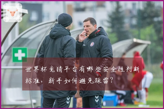 世界杯竞猜平台有哪些安全性判断标准，新手如何避免踩雷？
